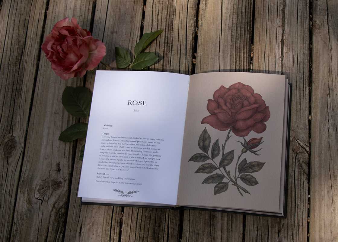 Simon & Schuster - Floriography by Jessica Roux