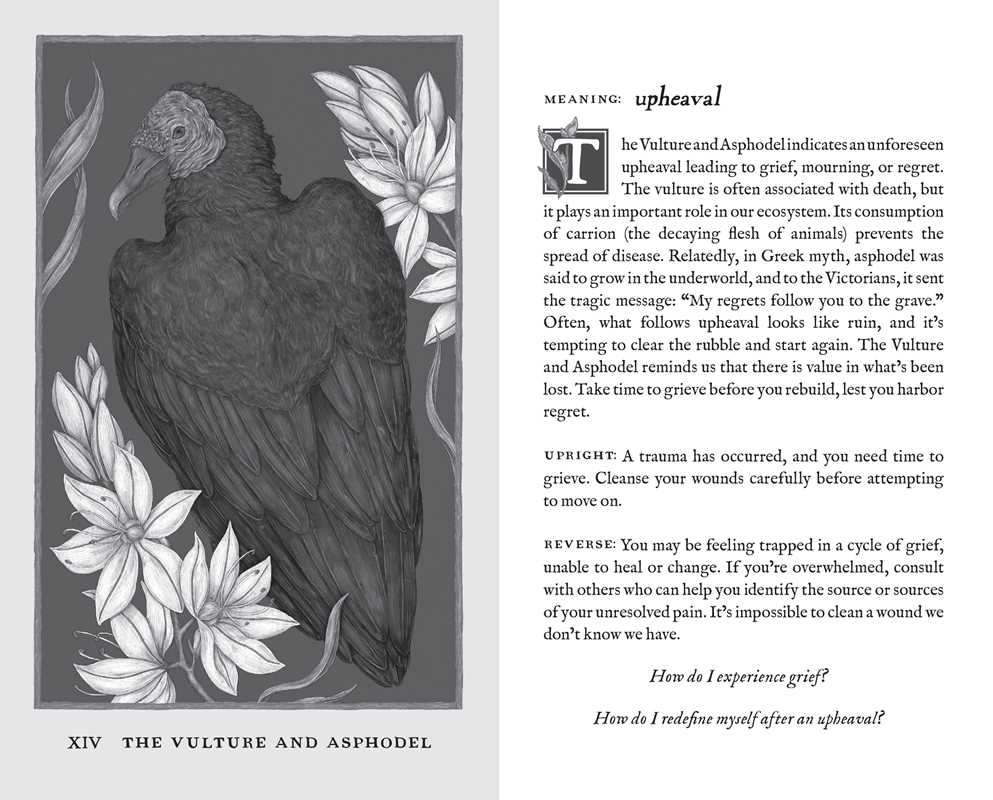 Simon & Schuster - Woodland Wardens by Jessica Roux