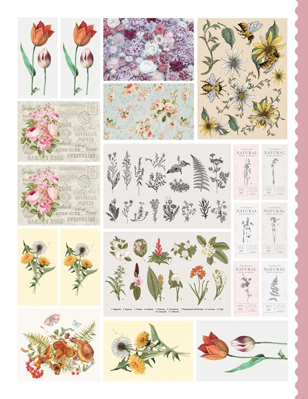 Simon & Schuster - Junk Journal Cutouts: Vintage Designs by The Juliet Journal