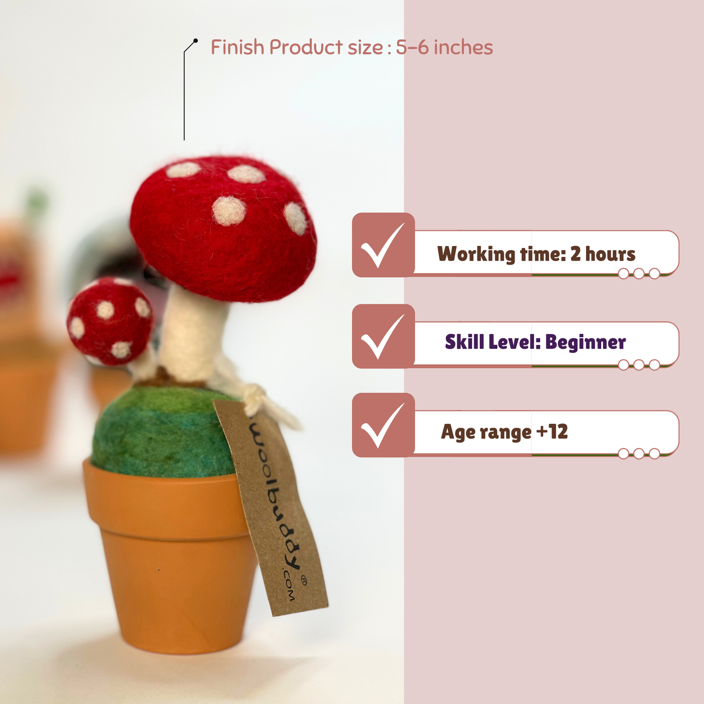 Woolbuddy - Needle Felting Mushroom Kit