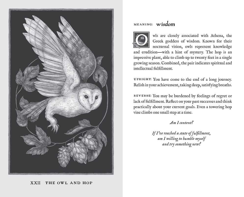Simon & Schuster - Woodland Wardens by Jessica Roux
