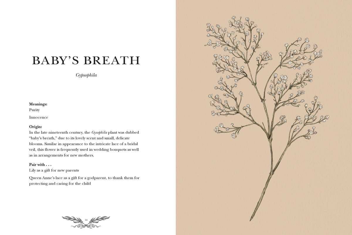 Simon & Schuster - Floriography by Jessica Roux