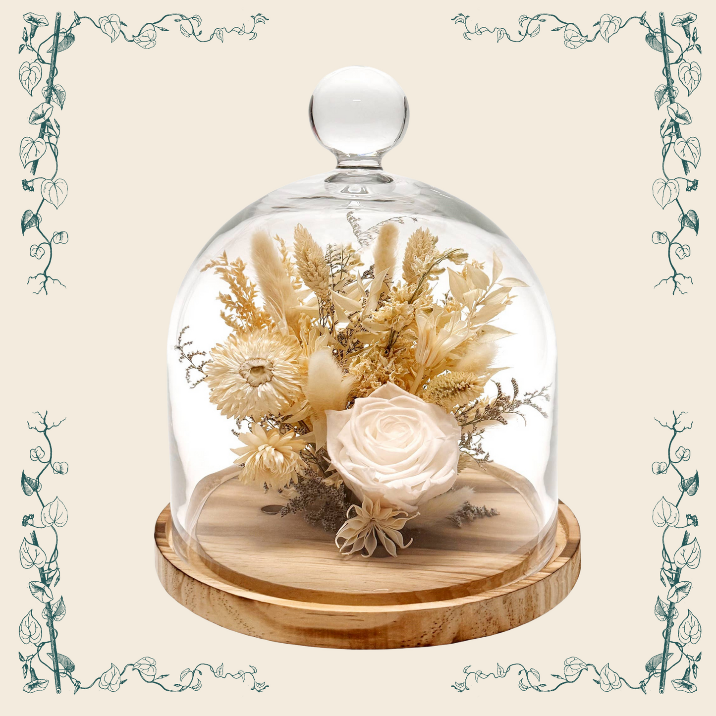 10" White Preserved Rose & Strawflower Cloche