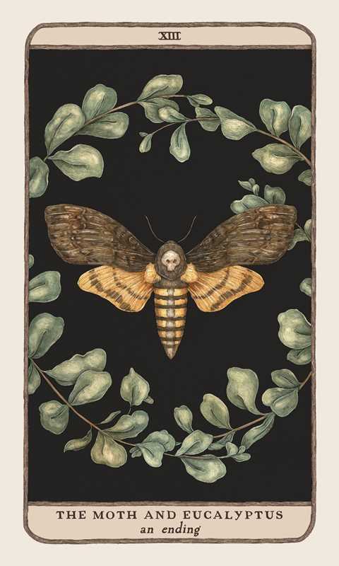 Simon & Schuster - Woodland Wardens by Jessica Roux