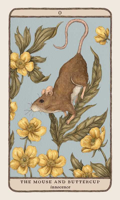 Simon & Schuster - Woodland Wardens by Jessica Roux