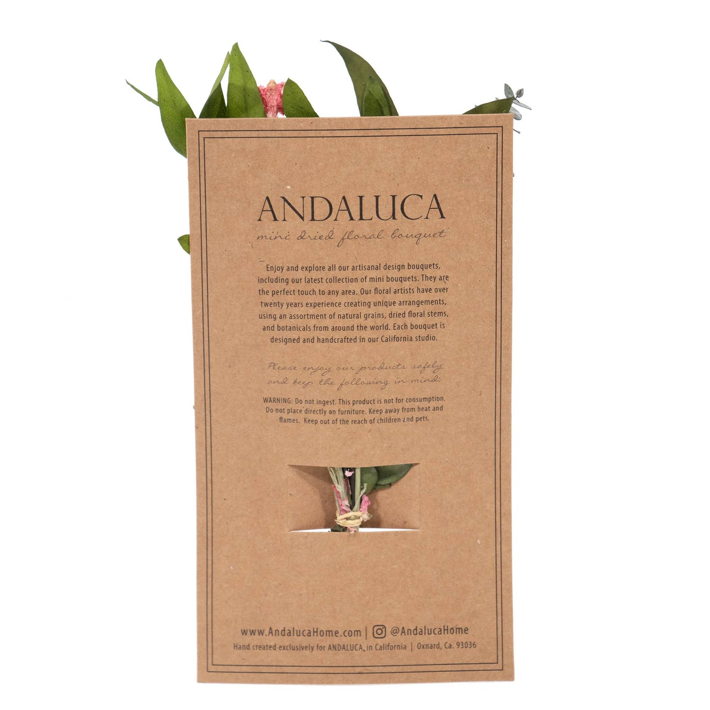 Eucalyptus & Pink Larkspur Mini Bouquet - #shop_name AndalucaGifts