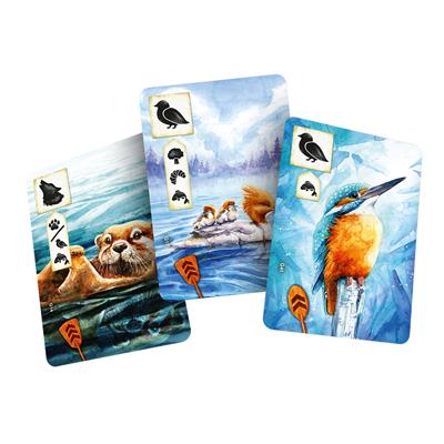 Asmodee: Meadow Downstream Expansion