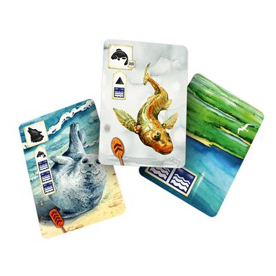 Asmodee: Meadow Downstream Expansion