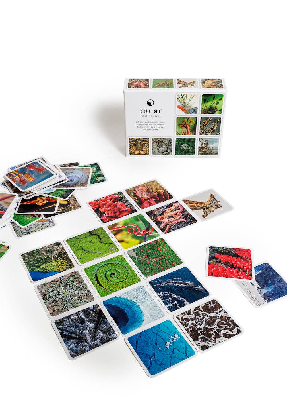 OuiSi Nature: Games of Visual Connection - #shop_name OuiSiGifts