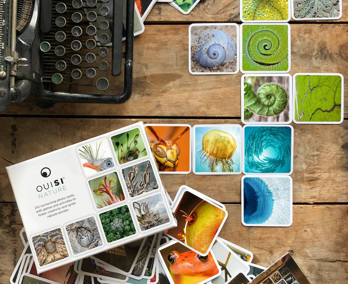 OuiSi Nature: Games of Visual Connection - #shop_name OuiSiGifts