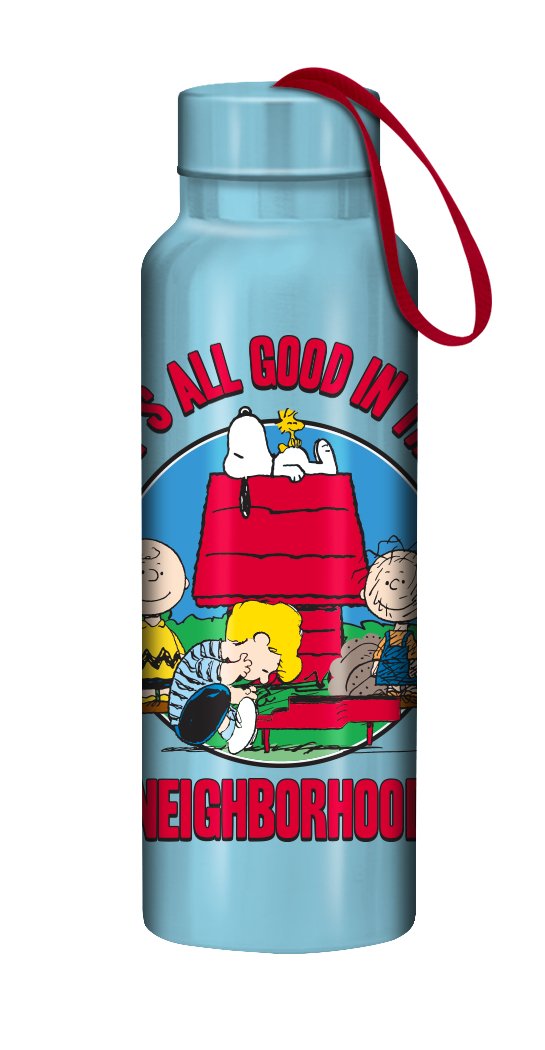 Peanuts Good in the Hood 27oz Stainless Steel Waterbottle - #shop_name Silver BuffaloGifts