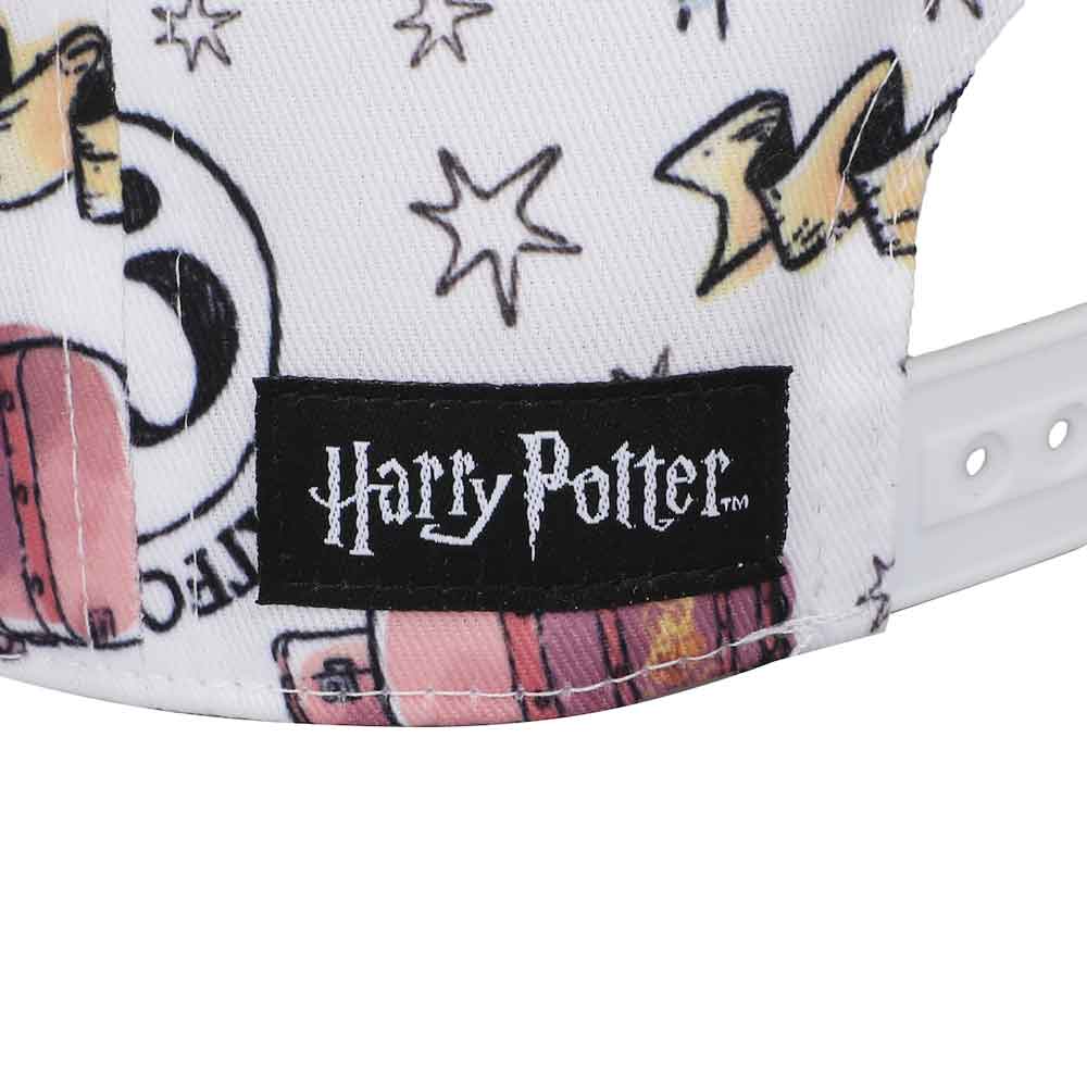 Harry Potter Hogwarts Water Color Hat