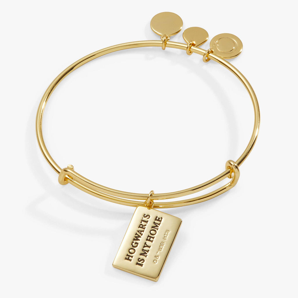 Alex and Ani - Harry Potter™ Acceptance Letter Charm Bangle