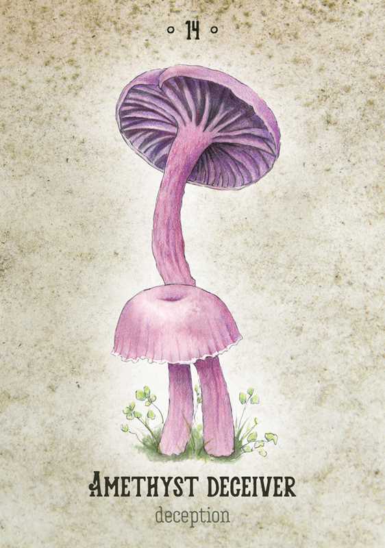 Simon & Schuster - Mushroom Spirit Oracle by Nicola McIntosh