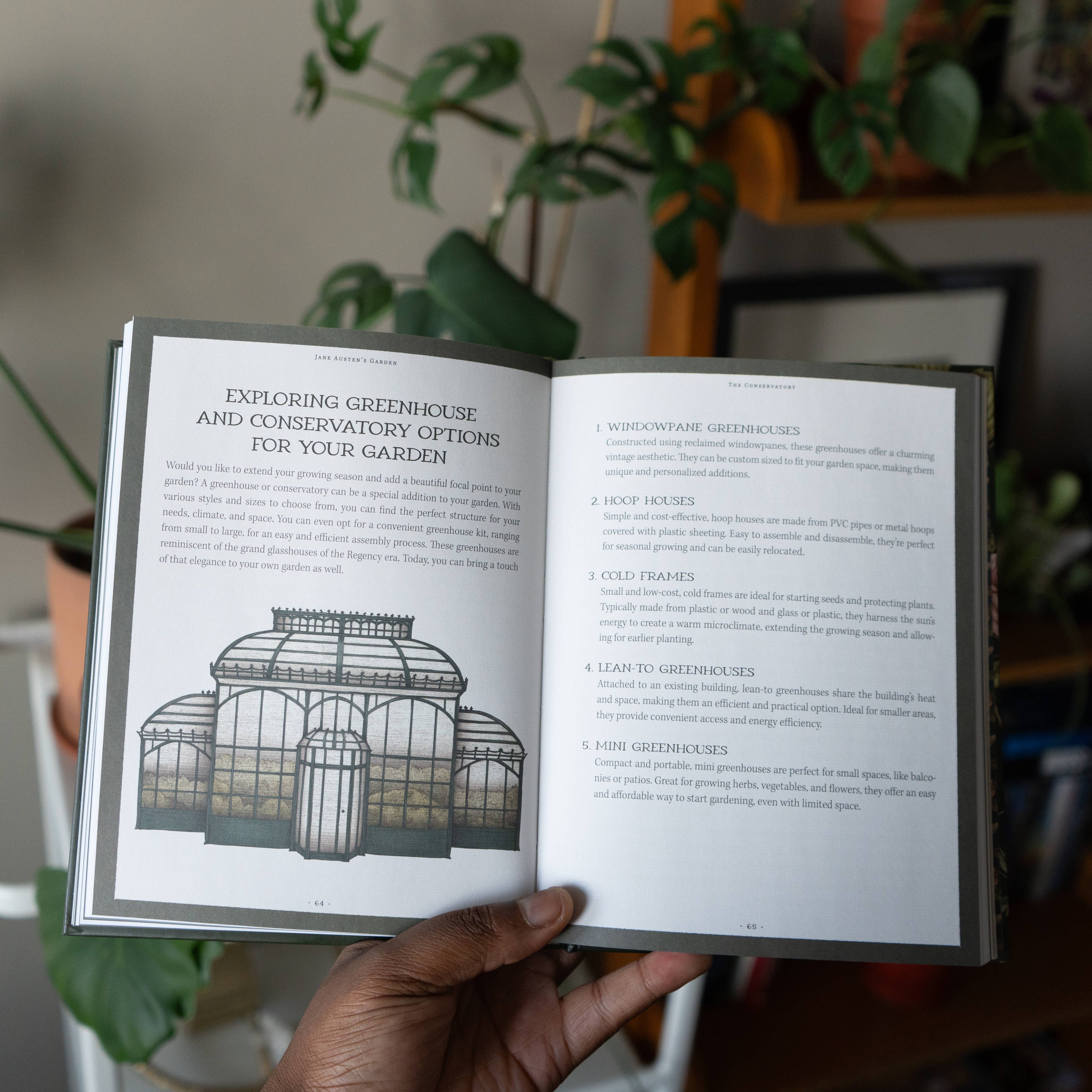 Simon & Schuster - Jane Austen's Garden by Molly  Williams