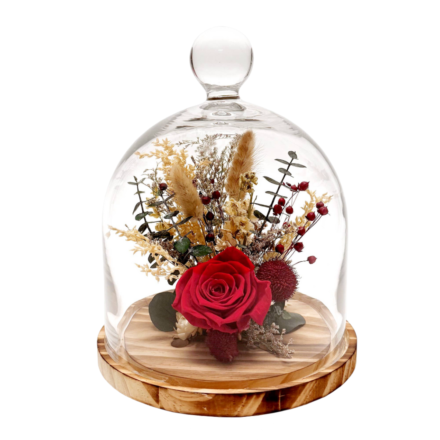 10" Red Preserved Rose Botanical Cloche