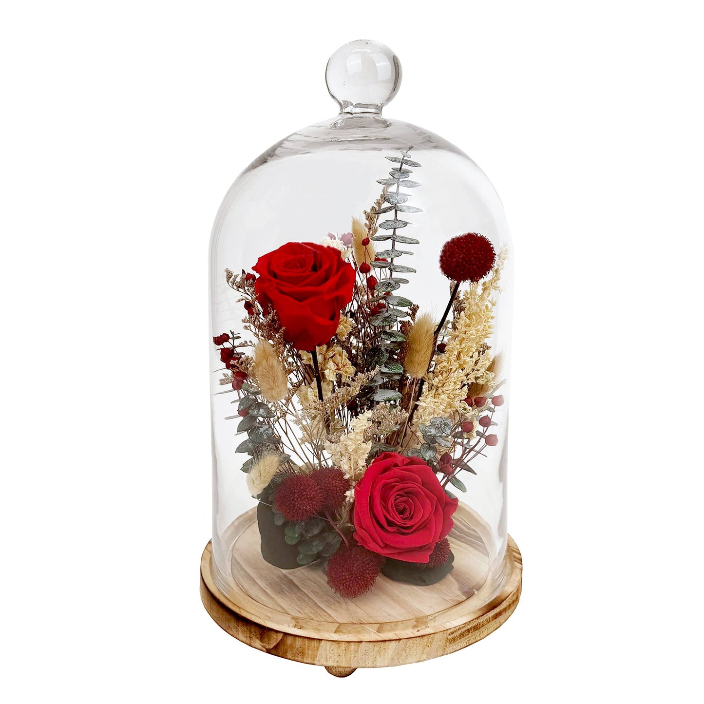 15" Red Preserved Rose Botanical Cloche - #shop_name AndalucaGifts