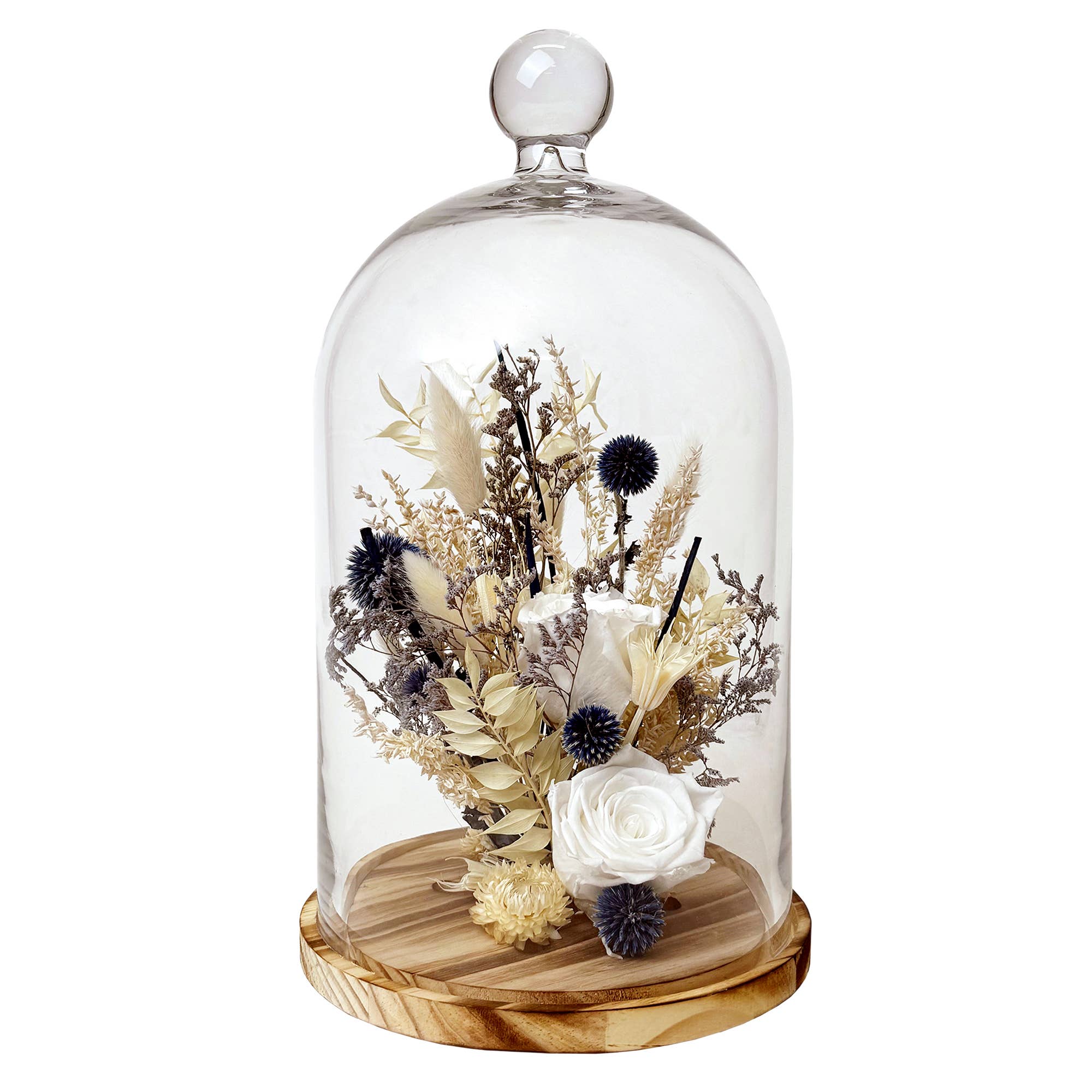 15" White Preserved Rose & Echinops Botanical Cloche - #shop_name AndalucaGifts