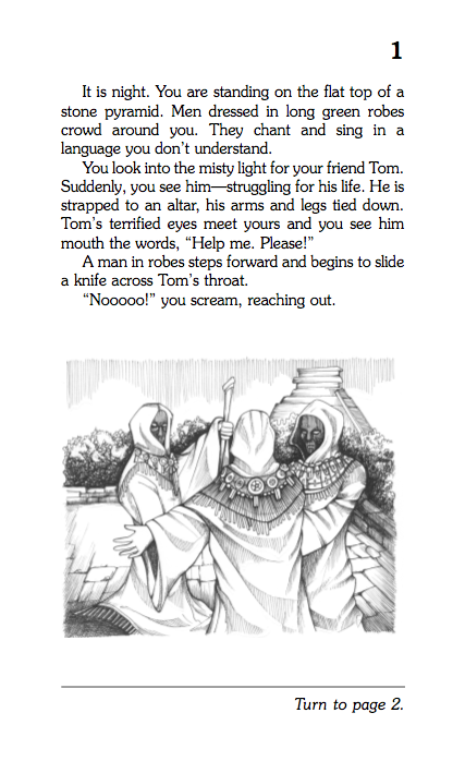 Mystery Of The Maya, Children's Book