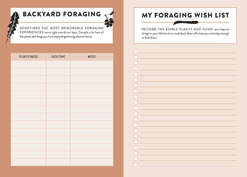 Insight Editions - #1 Pop Culture Publisher - The Forager's Journal