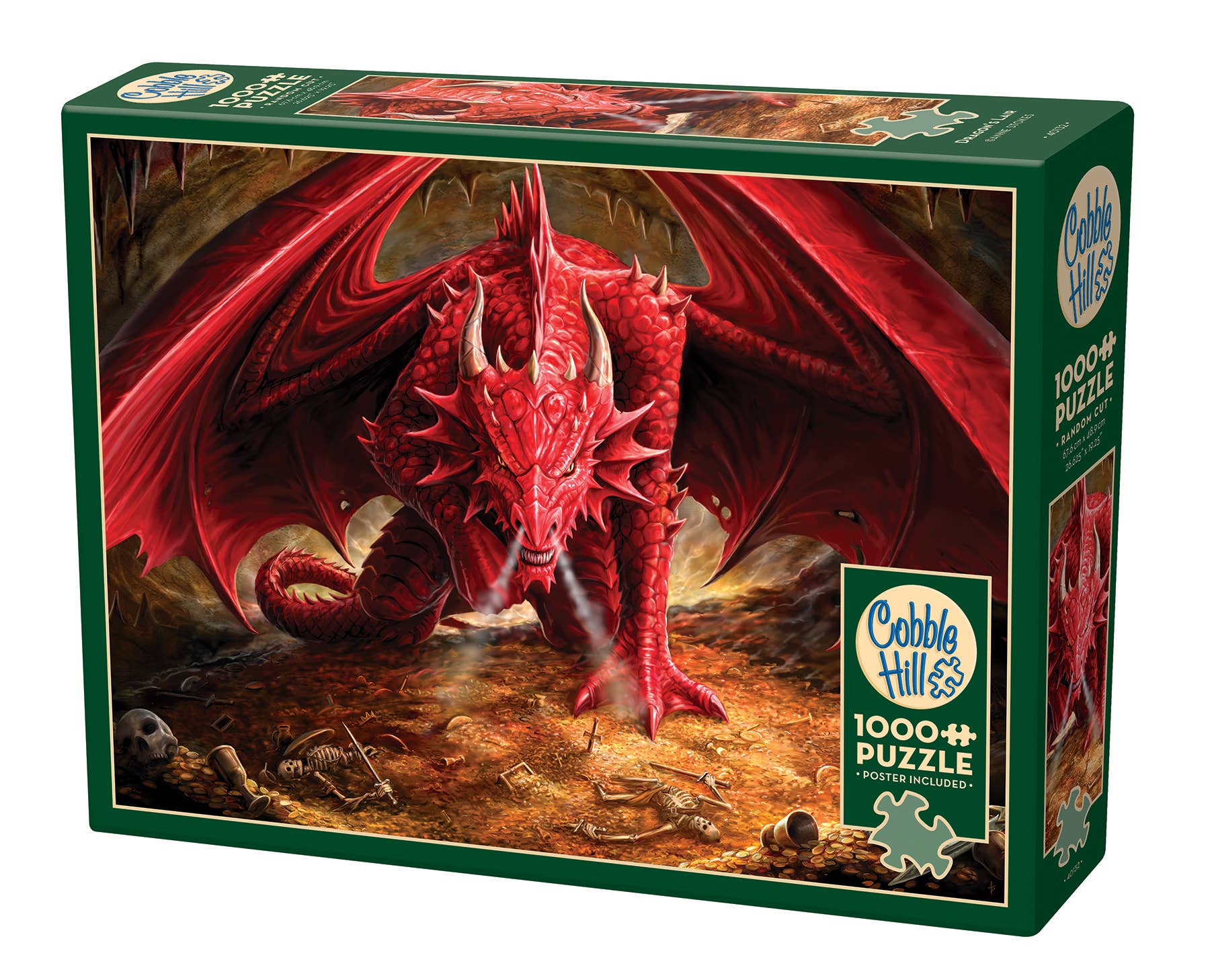 Outset Games and Cobble Hill Puzzles - Dragon's Lair 1000pc puzzle