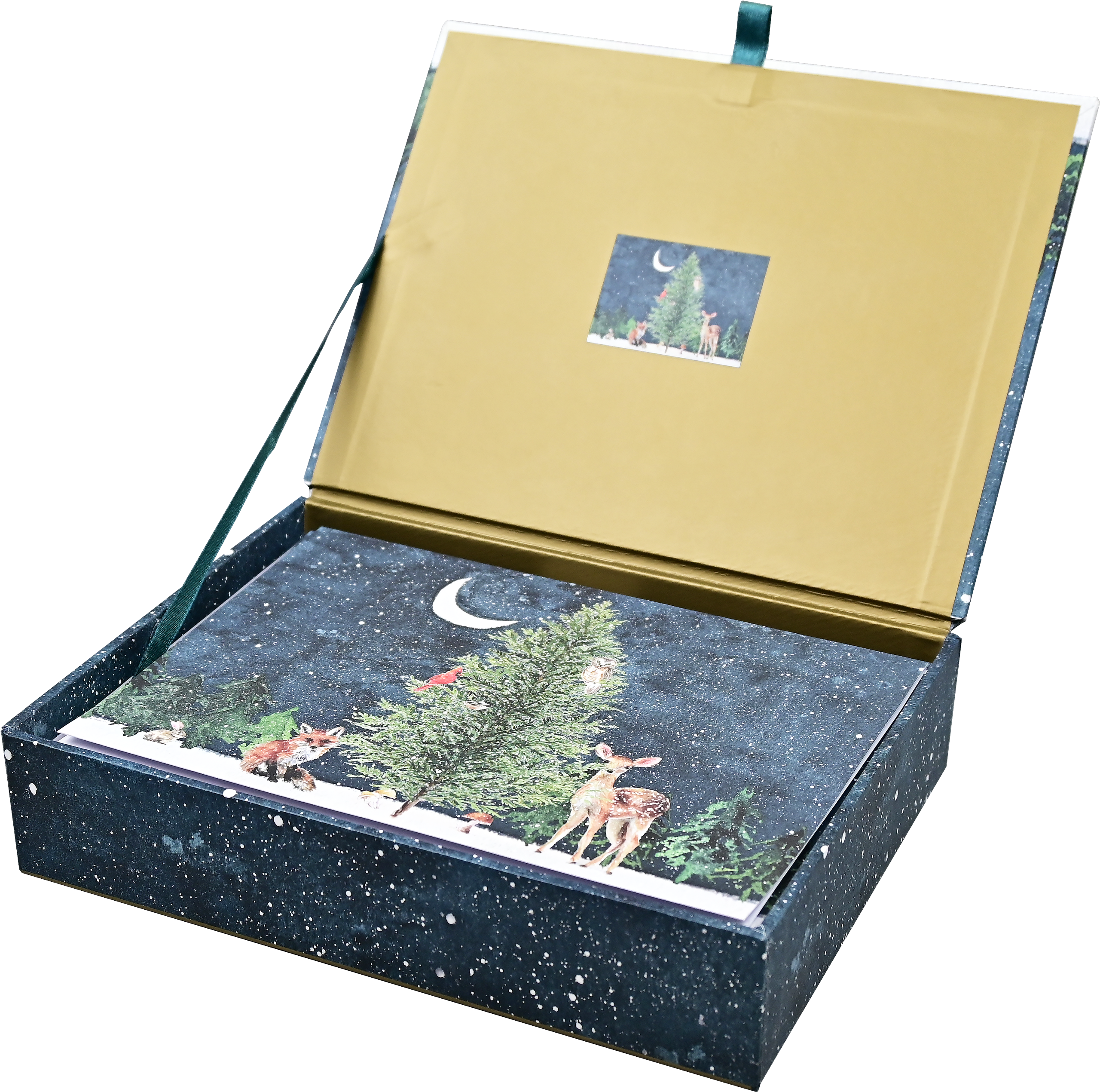 Peter Pauper Press - Moonlit Forest Friends Deluxe Boxed Holiday Cards