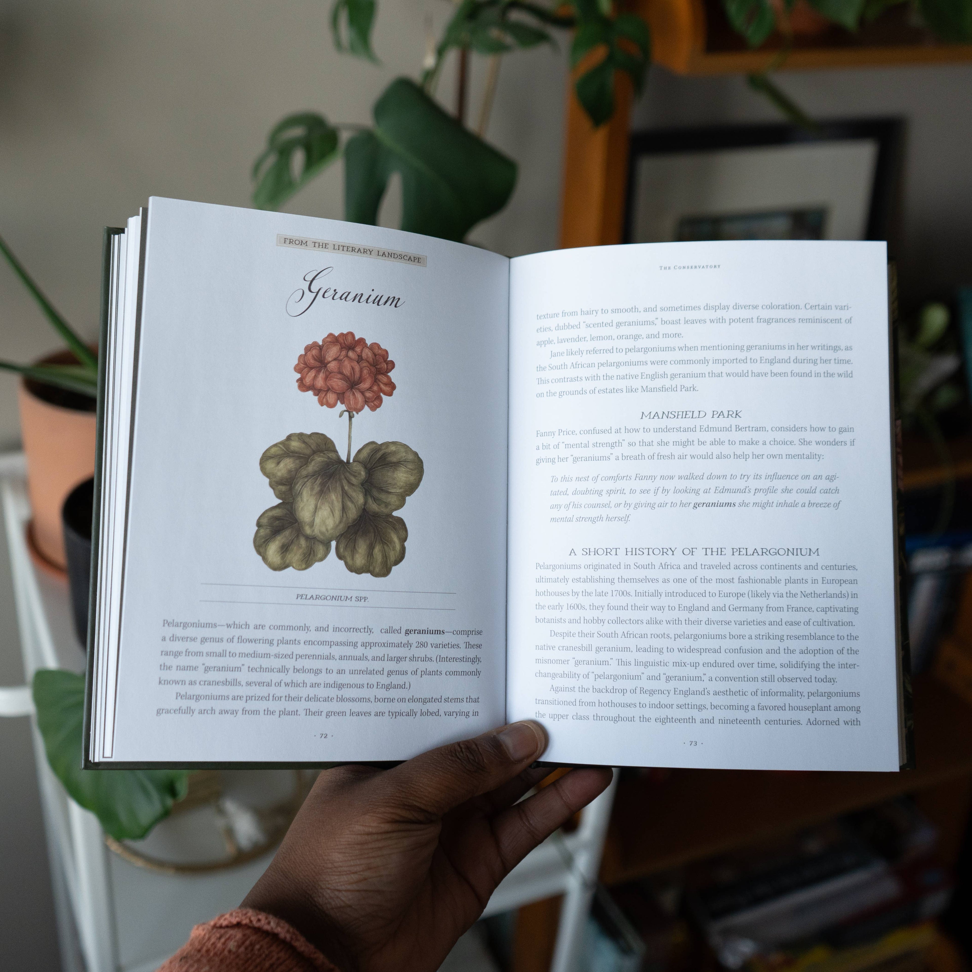 Simon & Schuster - Jane Austen's Garden by Molly  Williams