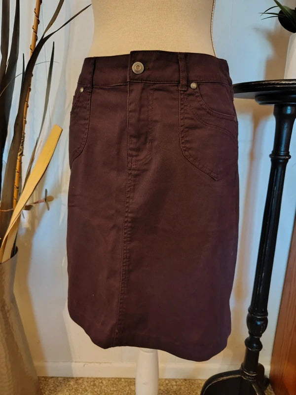 Christopher & Banks Plum Skirt | Women's Size 4