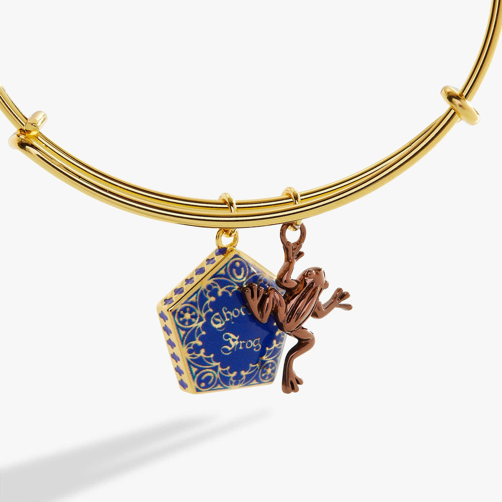 Alex and Ani - Harry Potter™ Chocolate Frog Two-Charm Bangle