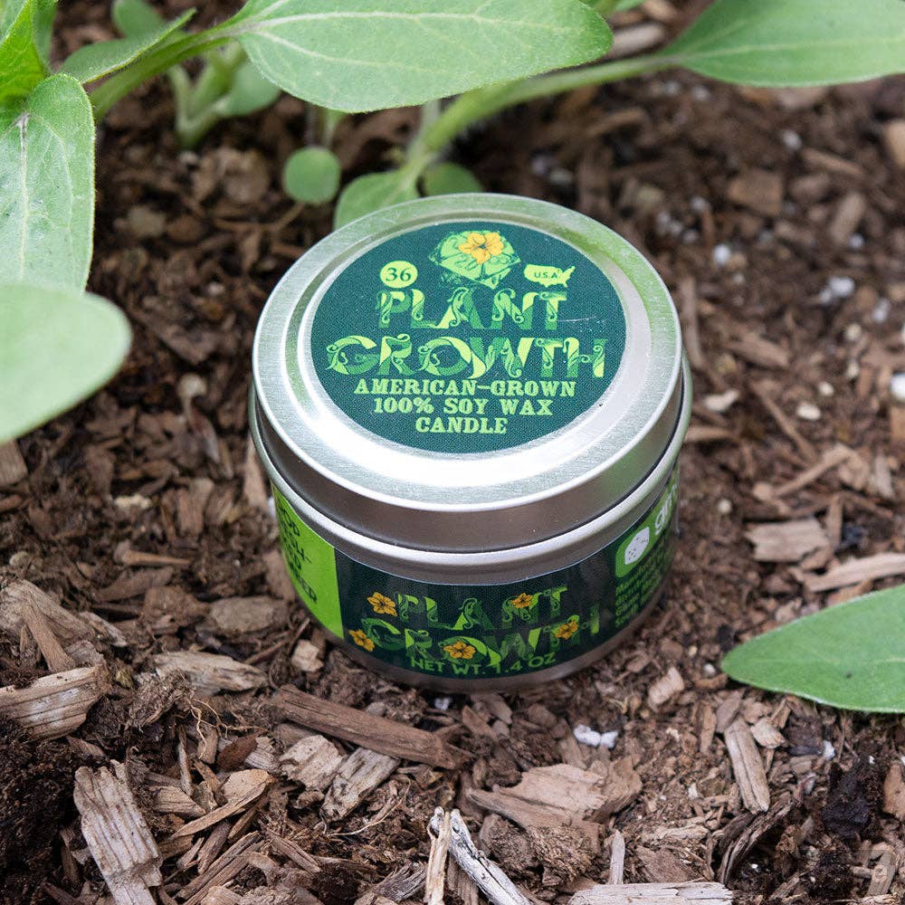 Game Master Dice - Plant Growth Gaming Candle