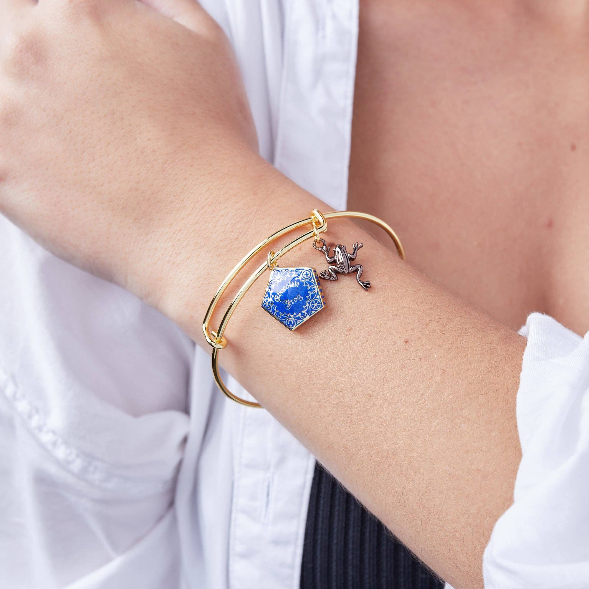 Alex and Ani - Harry Potter™ Chocolate Frog Two-Charm Bangle