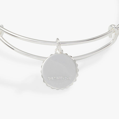 Alex and Ani - Harry Potter™ Slytherin House Charm Bangle Silver