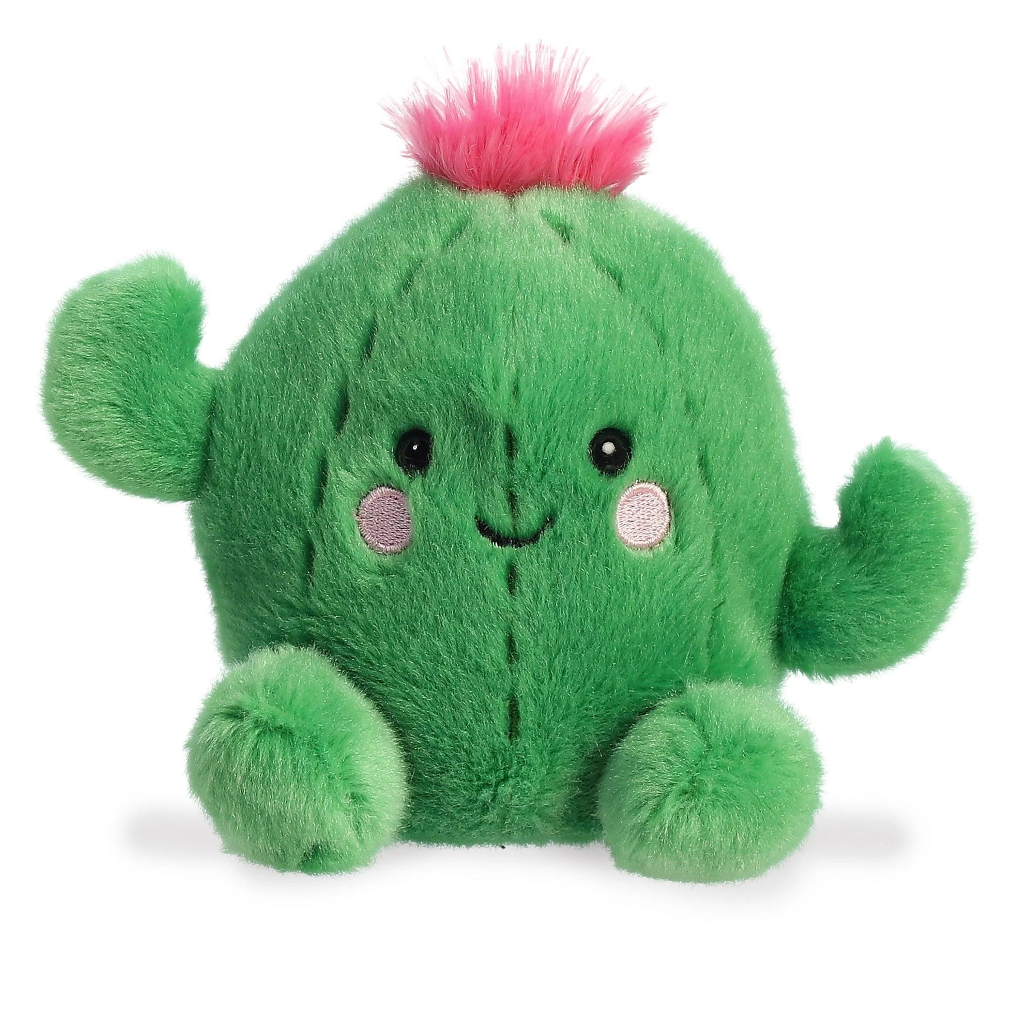 5" PRICKLES CACTUS - #shop_name AuroraPlush