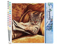 Figured'Art - Paint by numbers - Don't mess with This Cat