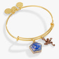Alex and Ani - Harry Potter™ Chocolate Frog Two-Charm Bangle