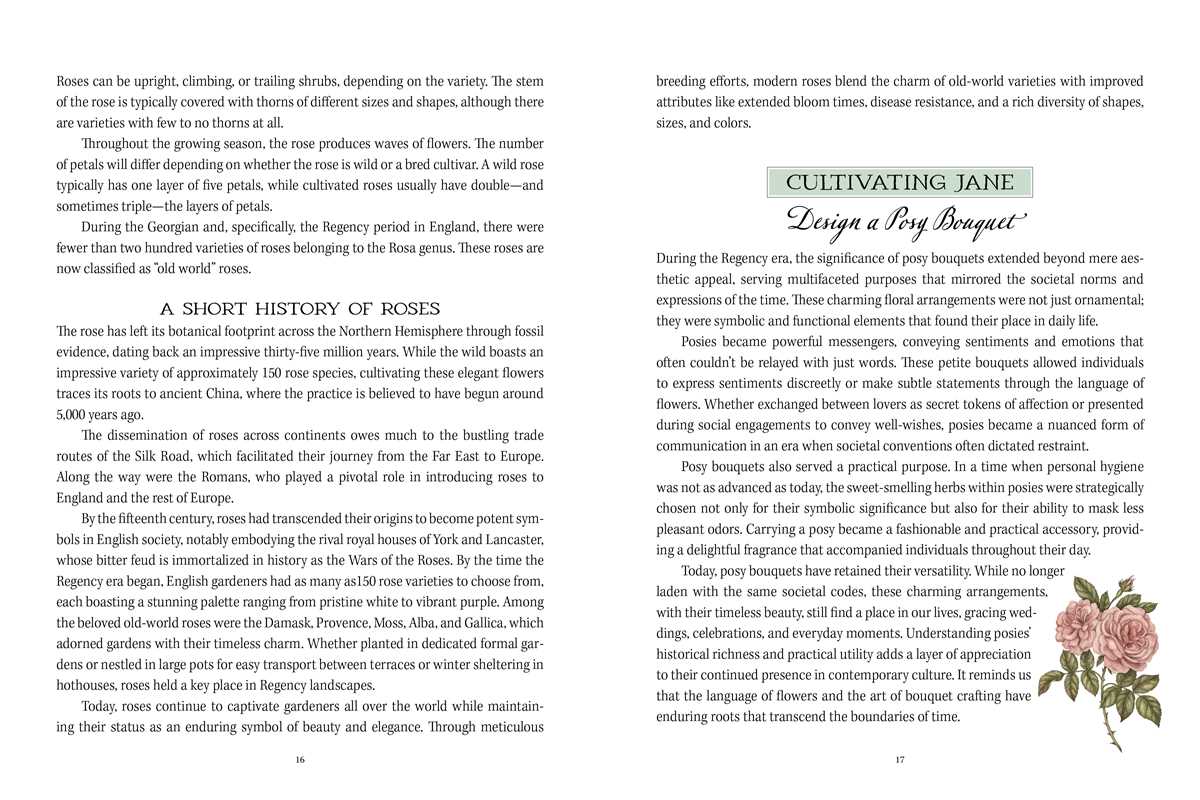 Simon & Schuster - Jane Austen's Garden by Molly  Williams