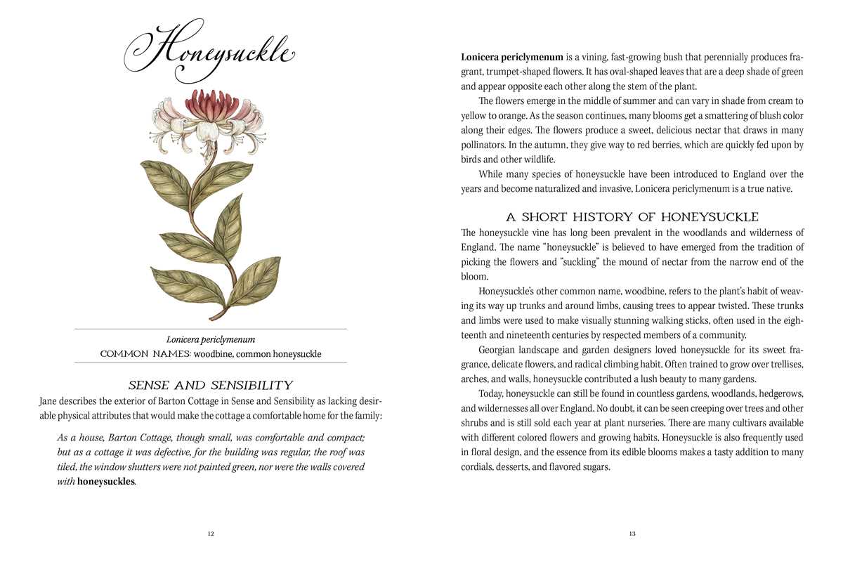 Simon & Schuster - Jane Austen's Garden by Molly  Williams