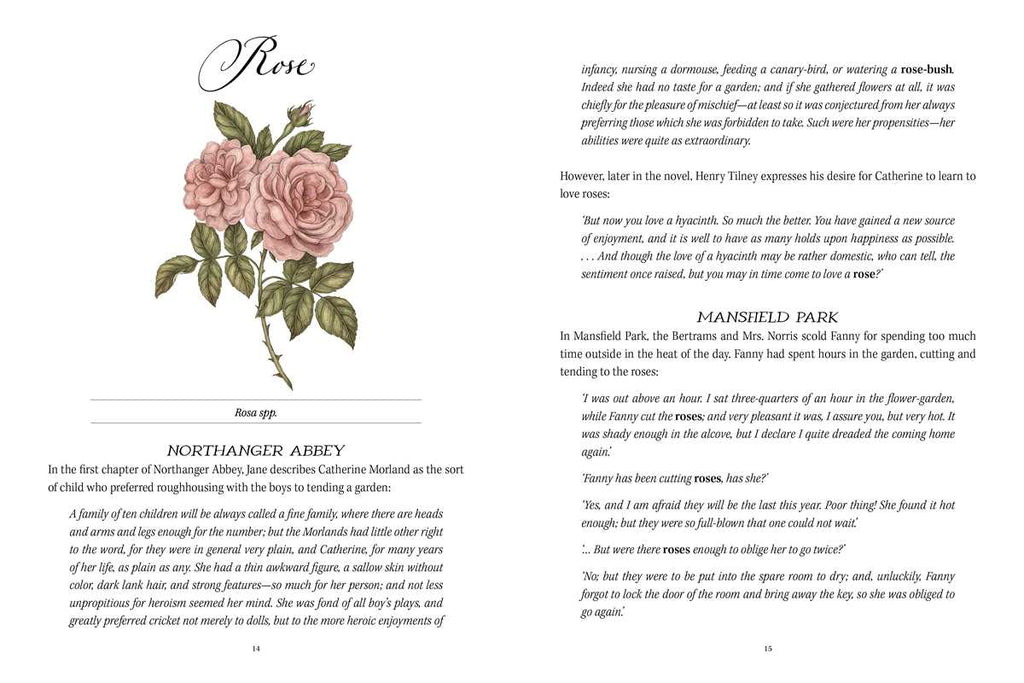 Simon & Schuster - Jane Austen's Garden by Molly  Williams