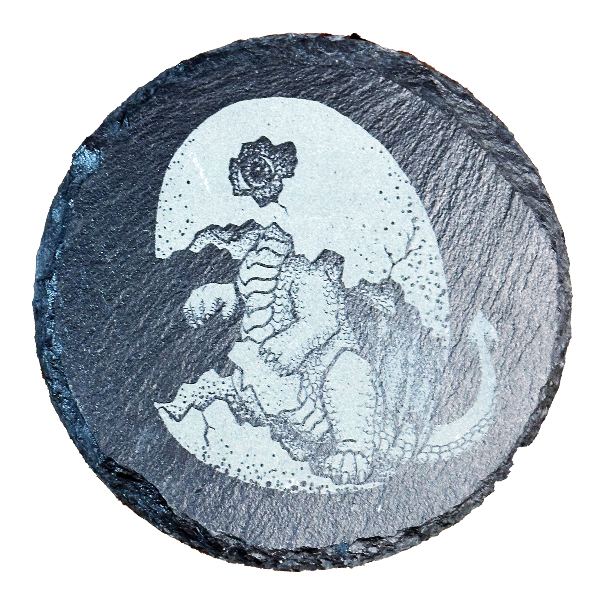 Game Master Dice - Baby Dragon Hatchling Coaster