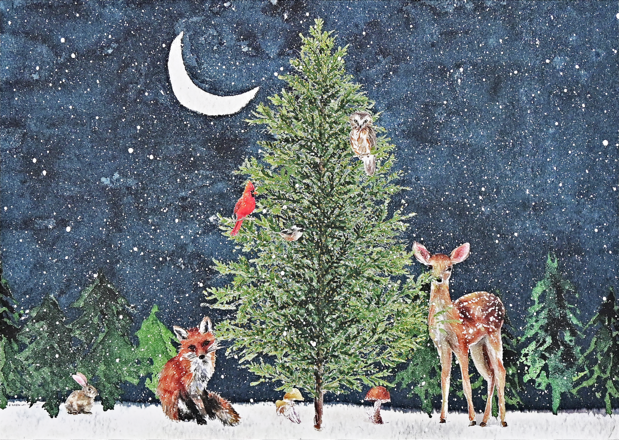 Peter Pauper Press - Moonlit Forest Friends Deluxe Boxed Holiday Cards
