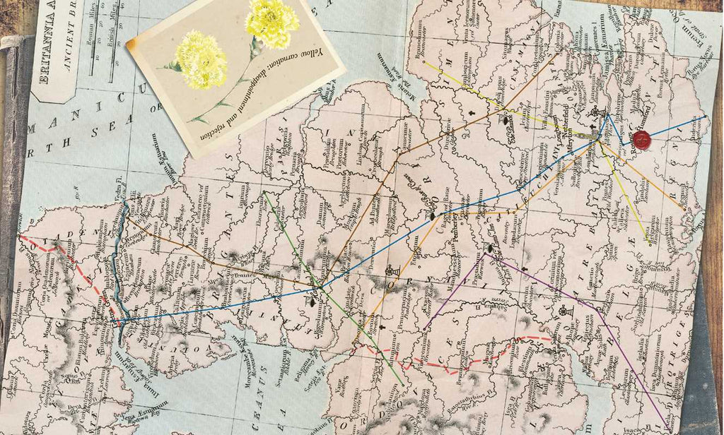 Simon & Schuster - Jane Austen Escape Room Book by