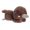 Too Cute Pimmy Platypus