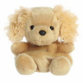 Oatmeal goldendoodle palm pal