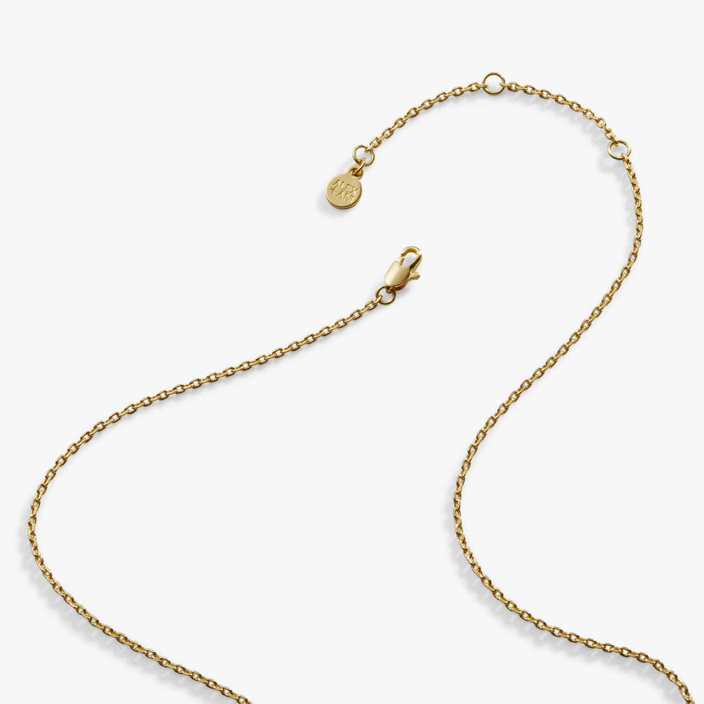 Alex and Ani - Harry Potter™ Mischief Managed Locket Necklace