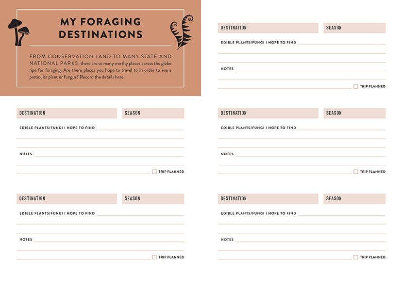 Insight Editions - #1 Pop Culture Publisher - The Forager's Journal