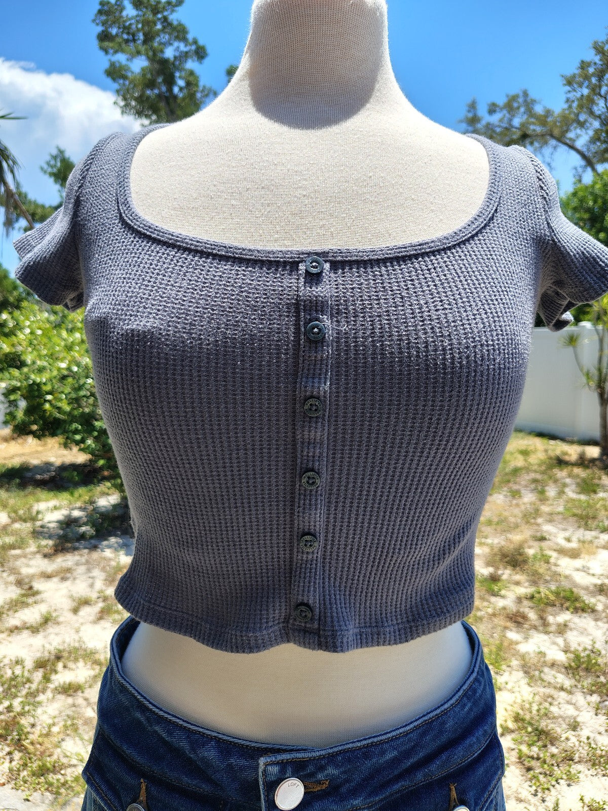 Hollister Blue Crop Top XS