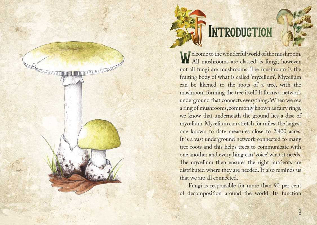 Simon & Schuster - Mushroom Spirit Oracle by Nicola McIntosh