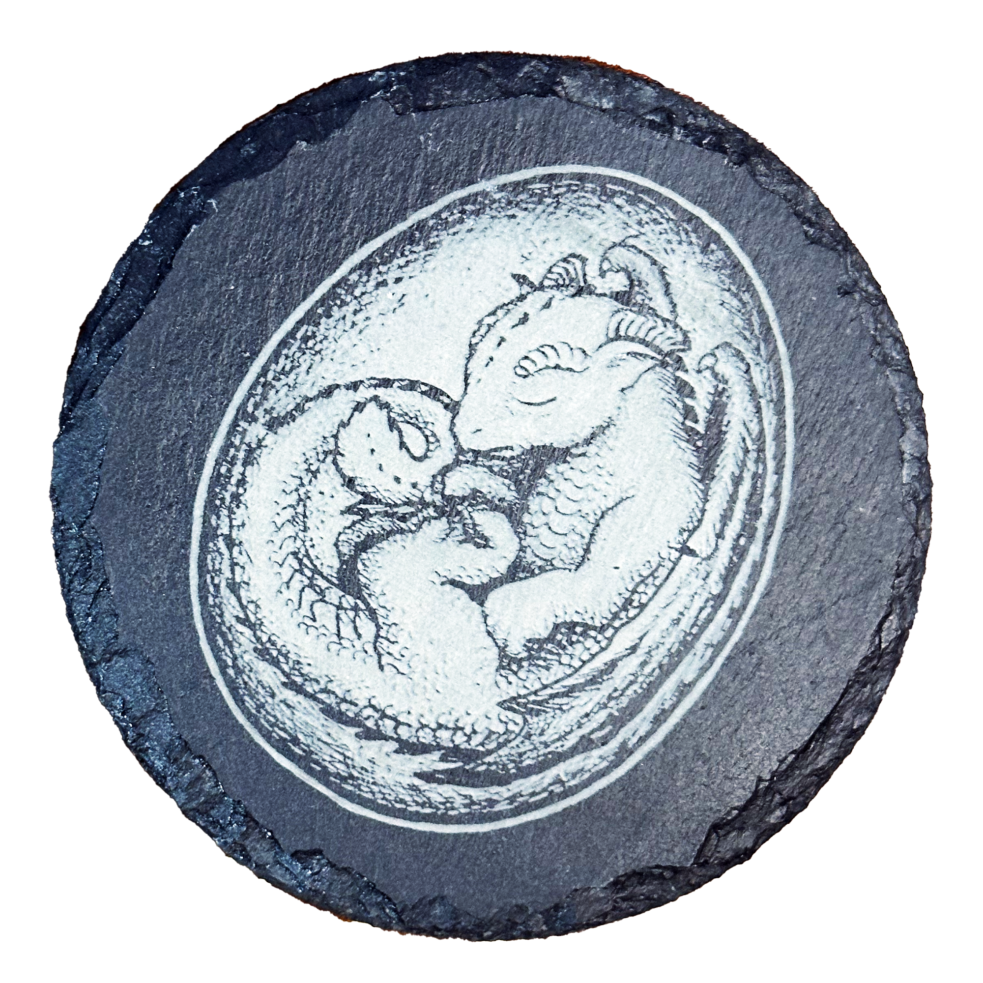 Game Master Dice - Baby Dragon Hatchling Coaster