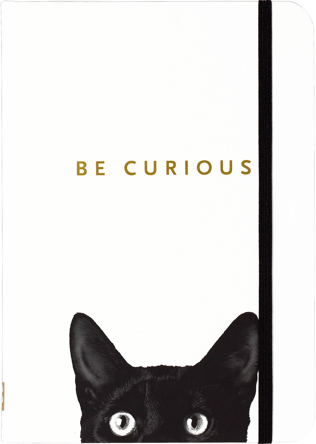 Peter Pauper Press - Curious Cat Journal