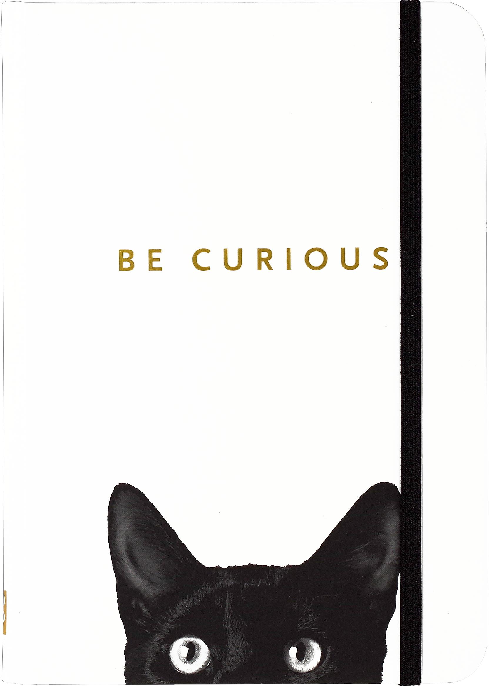 Peter Pauper Press - Curious Cat Journal